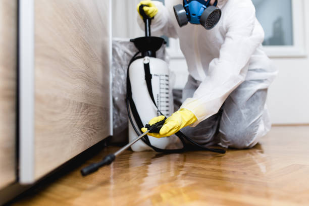 Best Residential Pest Control  in Clay City, IN