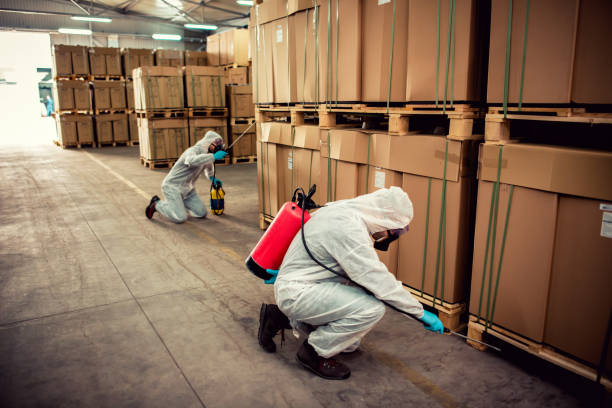 Best Local Pest Control Services  in Clay City, IN