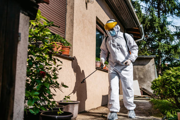Best Flea Control Services  in Clay City, IN