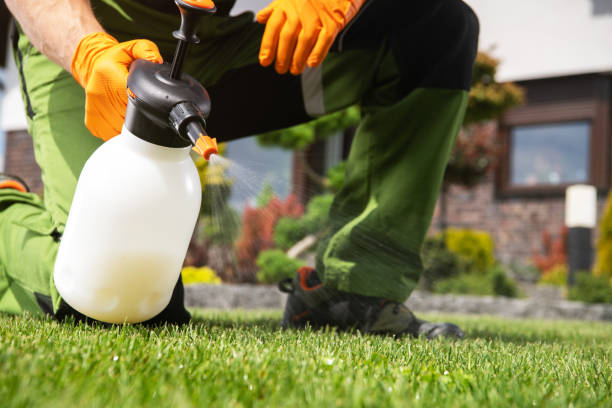 Best Pest Control Treatment  in Clay City, IN