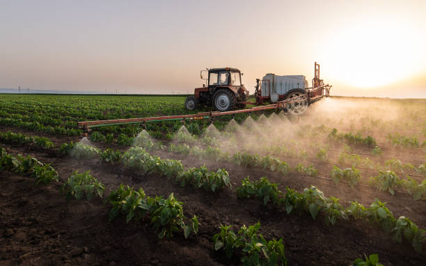 Best Pest Control Cost  in Clay City, IN