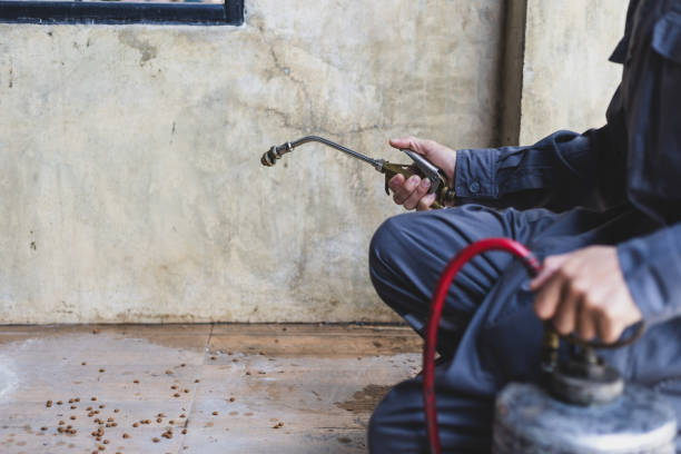Best Pest Inspection Near Me  in Clay City, IN