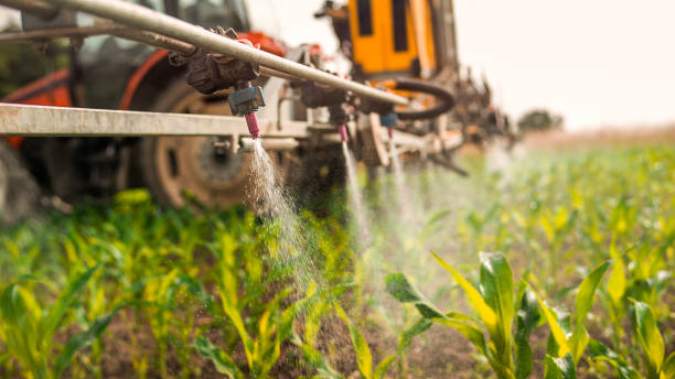 Best Commercial Pest Control Services  in Clay City, IN